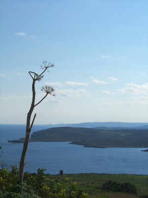 Qala_tour